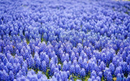 平面设计与三维设计 优漫动游教育的专业解读